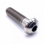 Vis à Tête Bombée Plate en Inox A4 M10 x (1.50mm) x 75mm - DIN 7380