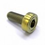 Vis BTR Compact en Inox A4 316 M10 x (1.50mm) x 50mm Or DLC