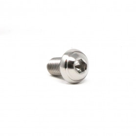Vis à Tête Bombée Plate en Titane M8 x (1.25mm) x 15mm - DIN 7380