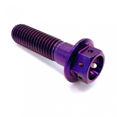 vis-titane-hexgaonale-race-moto-M10-x-150mm-x-65mm Violet