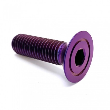 Vis Titane Fraisée en Titane M10 x (1.25mm) x 90mm Violet