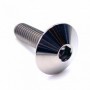 Vis à Tête Bombée en Titane M5 x (0.80mm) x 25mm (Diamètre de tête 16mm)